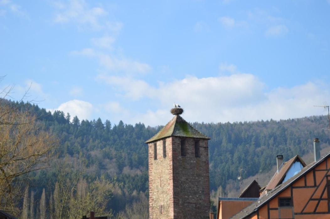 Ferienwohnung Coeur D'Alsace Kaysersberg-Vignoble Exterior foto